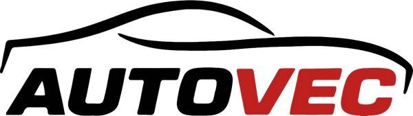 AutoVEC